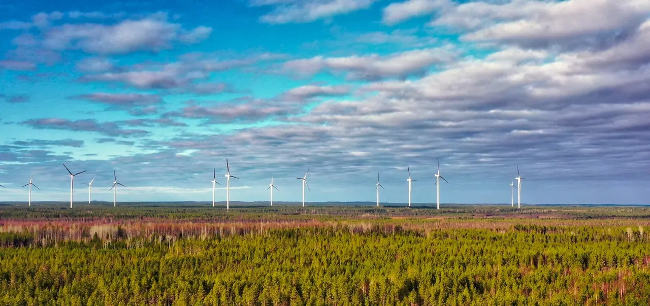 Tuulivoimaloita metsäisessä maisemassa Pyhäjärvellä