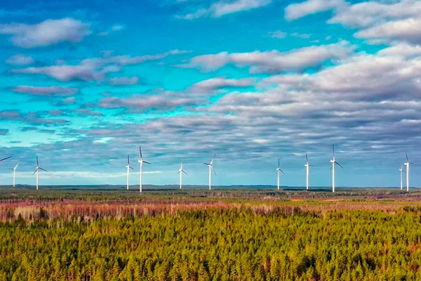 Tuulivoimaloita metsäisessä maisemassa Pyhäjärvellä